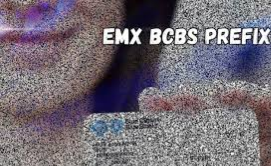 emx bcbs prefix