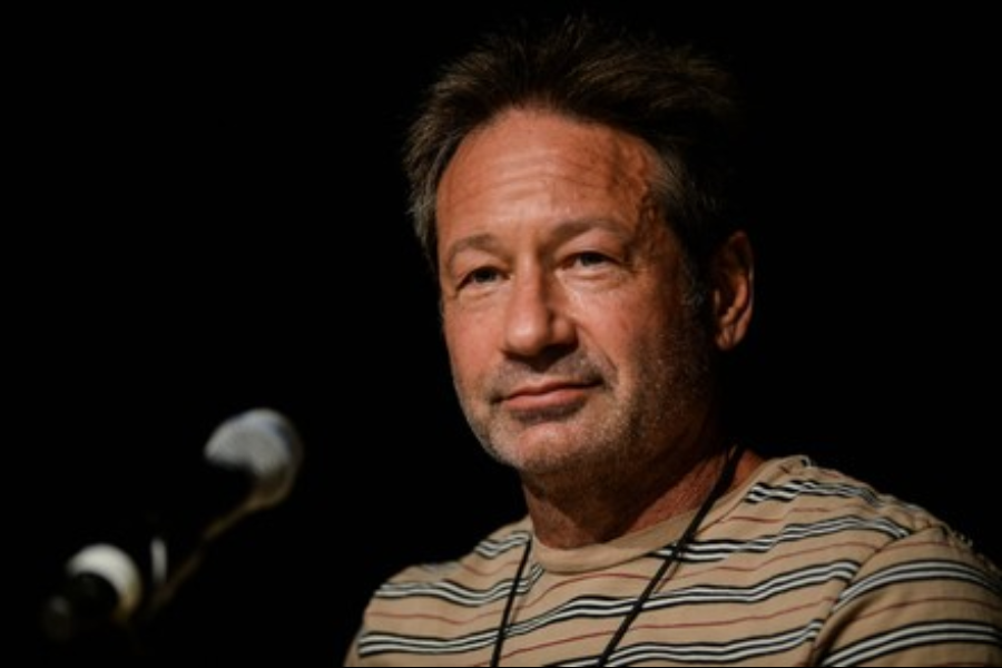 david duchovny net worth